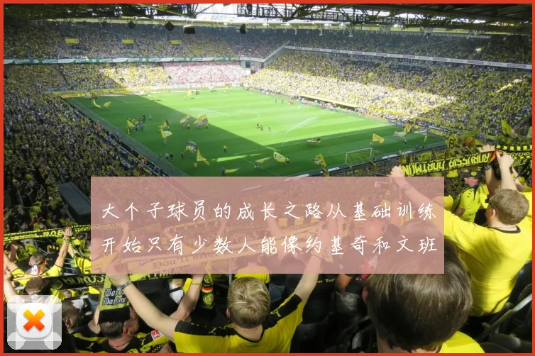 大个子球员的成长之路从基础训练开始只有少数人能像约基奇和文班那样成功