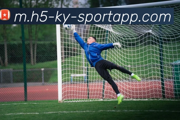 开云体育平台生态图