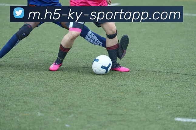 开云体育APP 封面图