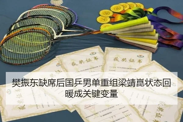 樊振东缺席后国乒男单重组梁靖崑状态回暖成关键变量 | kaiyun